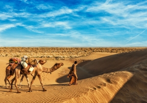 Unveiling the Mysteries of the Thar Desert: A Journey Through Its Enigmatic Facts